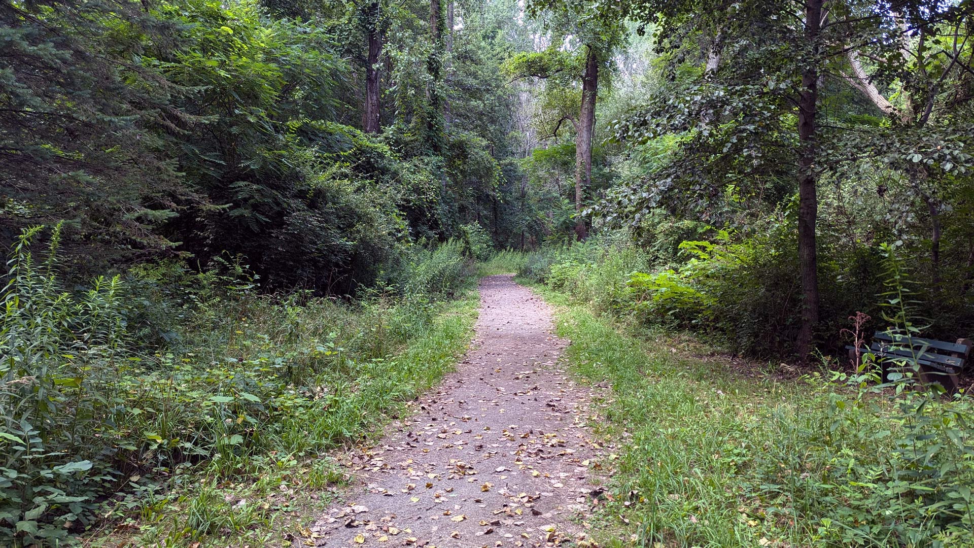 Western Monroe County landscape