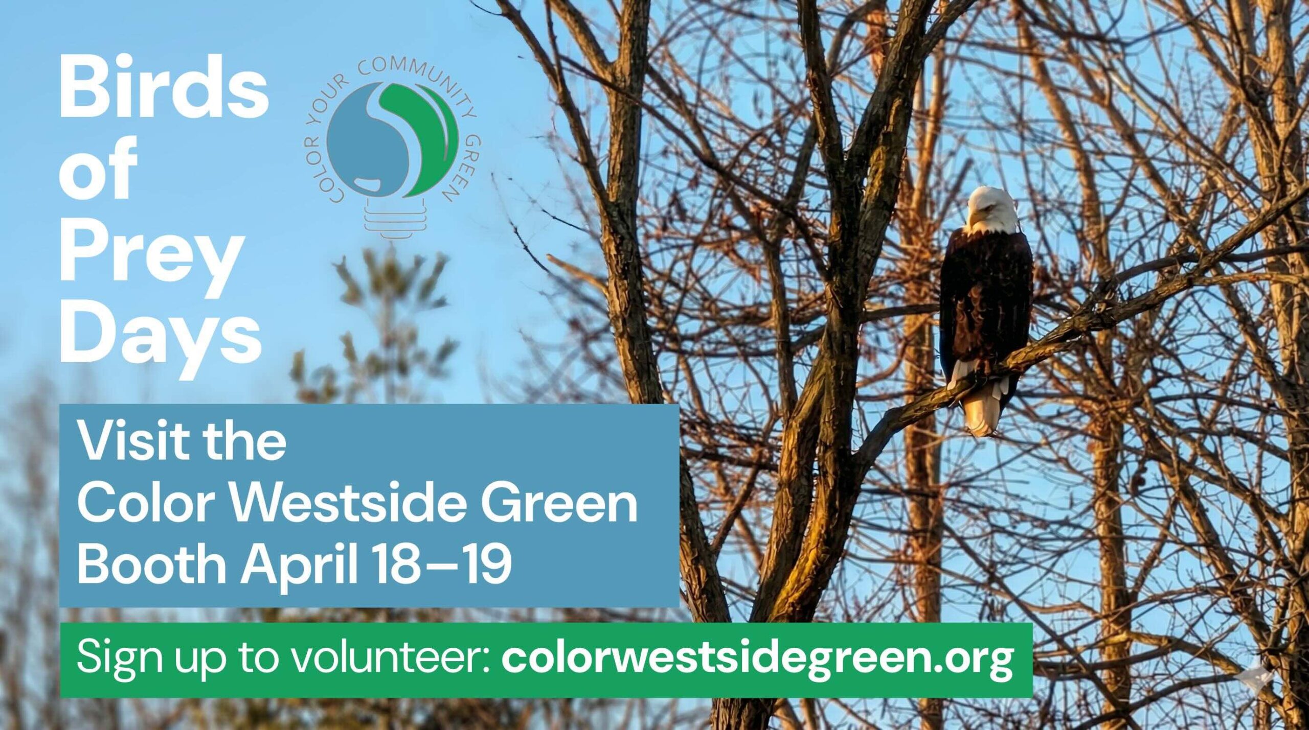 An eagle in the trees text reads Birds of Prey Days